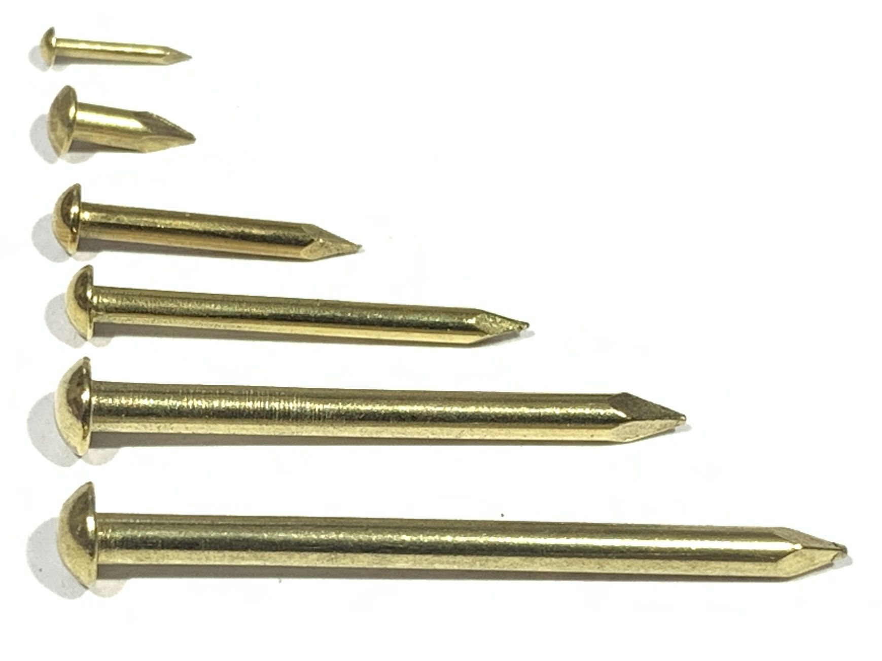 H0670 DS