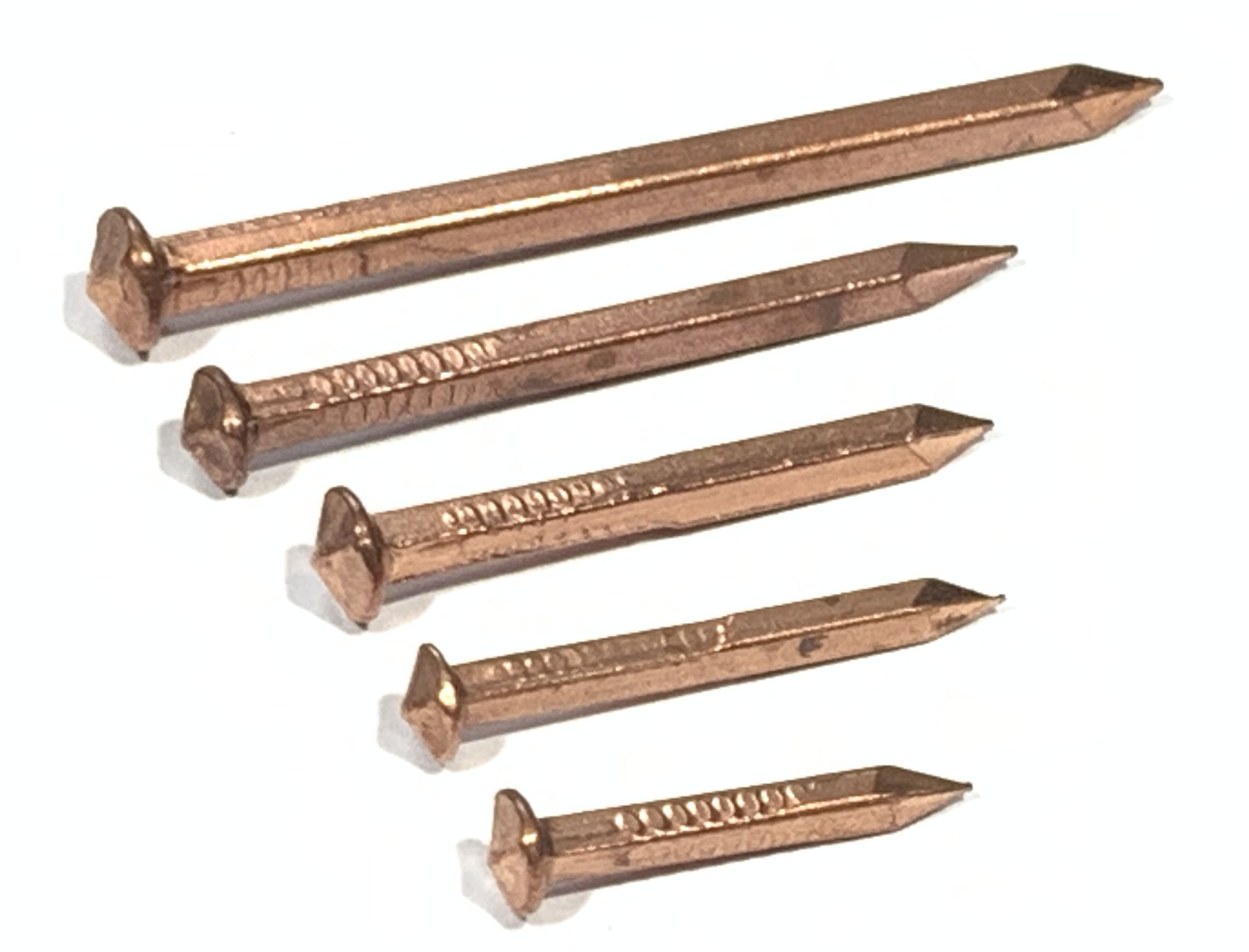 Nails, Copper, Rose Head, Square Shank, 7.0mm Nom. Head Diam._product_product h0900.jpg