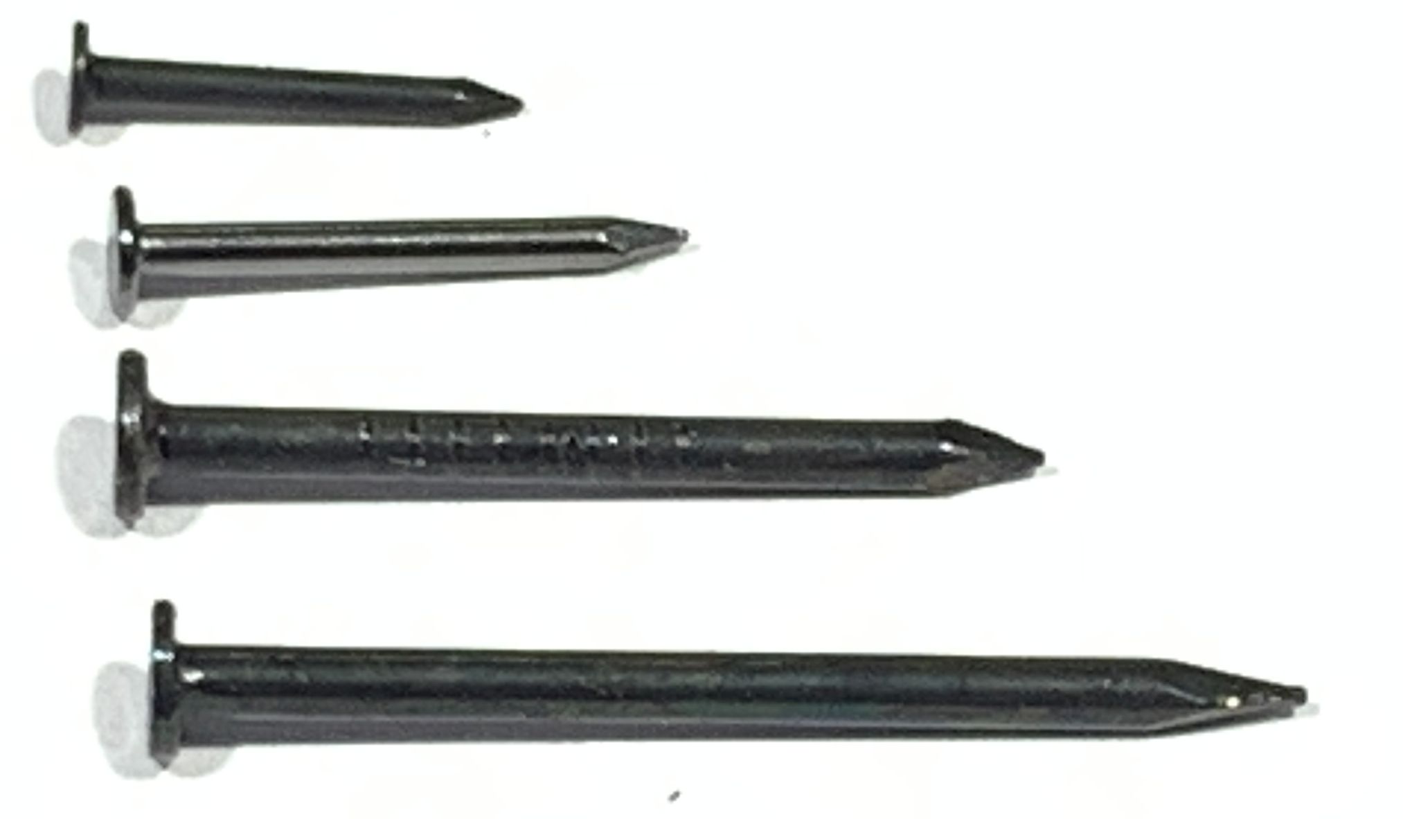 H9730_A2.jpg