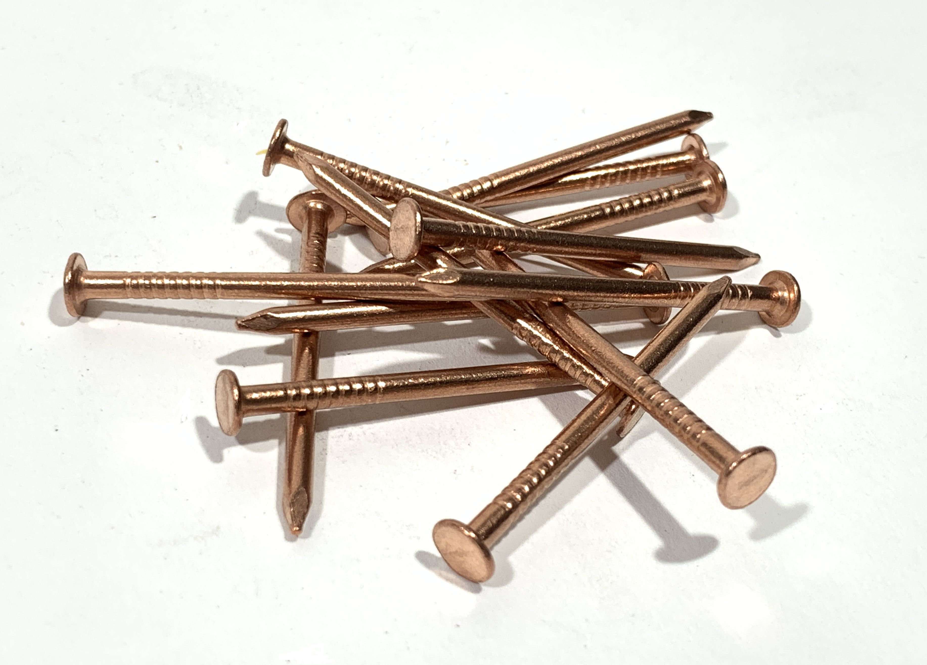 Nails, Copper, Common Flat Head, 100 pcs_product h0910.jpg