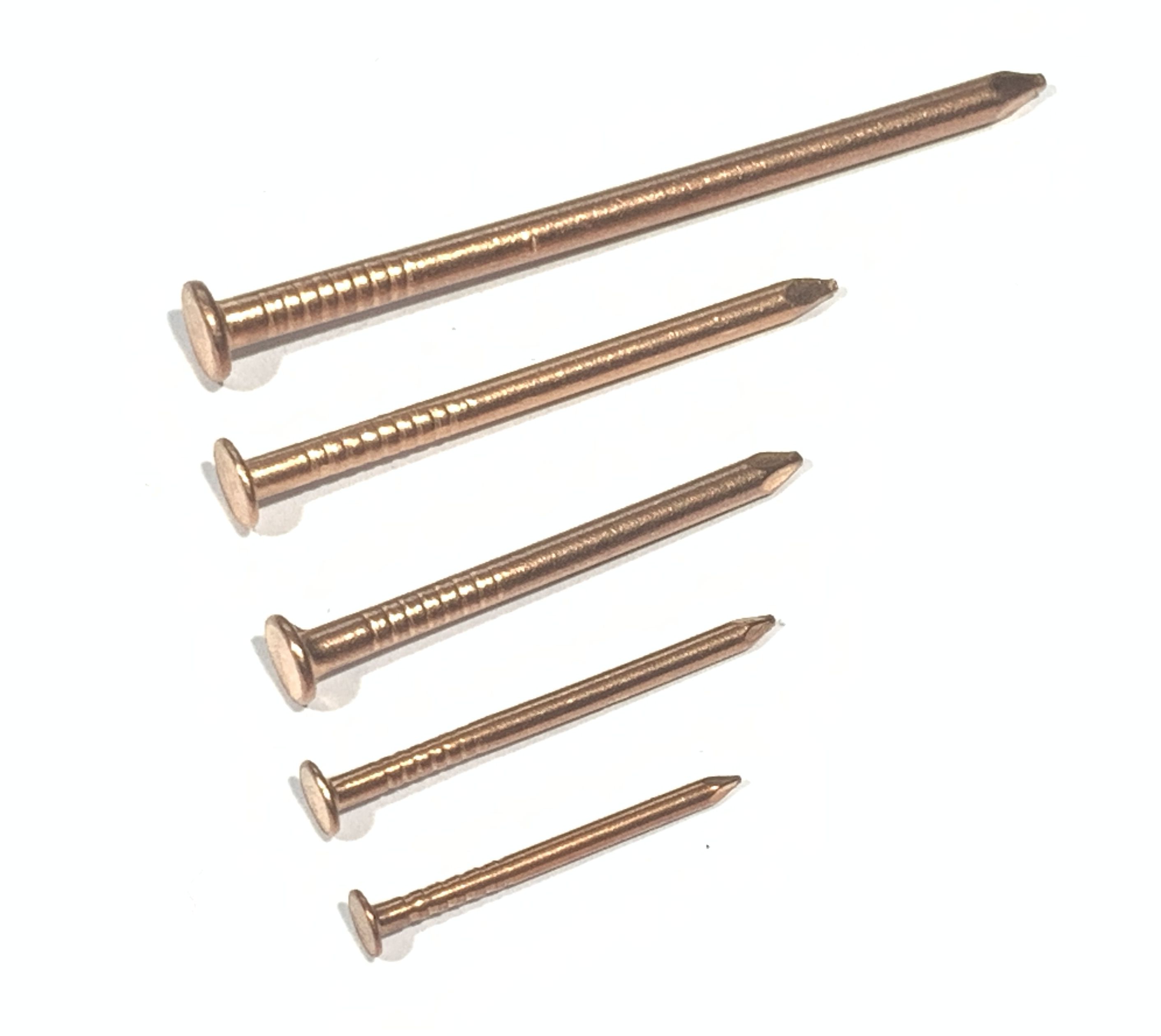 Nails, Copper, Common Flat Head, 100 pcs_product_product h0910.jpg